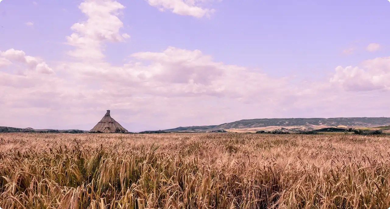 Historical-Research-and-Geographical-Analysis-image